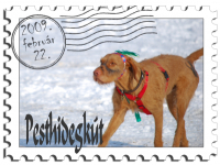 DSC_7415 stamp.jpg