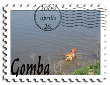 101b1330 stamp.jpg