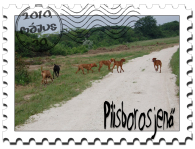 Borosjeno_stamp.jpg