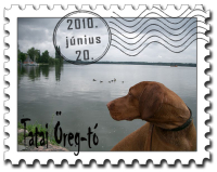 CIMG8992_stamp.jpg