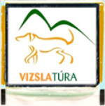 VT_logo_keret.jpg