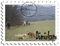 DSC_8965_ stamp.jpg